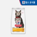 헤어힐스 - 전주시 덕진구 | 헤어힐스