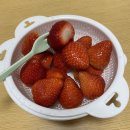 국약국 이미지