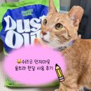 달과고양이 | 고양이 벤토나이트 모래 쉬즈곤 먼지아웃 울트라 한달 사용 후기