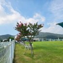 하이, 멍 이미지