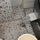 (주)아성다이소 부산대점 | 2026년 1월 셋째주 기록 (결혼기념일,본격 출근 시작,한라축산정육식당,밤산책,그랜마오븐,이자까야 연...