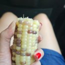 지장산 입구 화장실 이미지