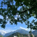 티엠아이 이미지