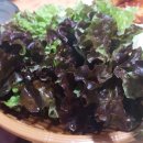 수삼겹살 이미지