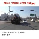 변신하개 | 발칙한 삼개월(발삼)