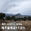 신평천주교 | [제주올레길 11코스 정방향] 하모체육공원 → 무릉외갓집 17.3km, 조용한 숲길을 따라 걷는 힐링 구간