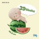 [임신 39주차] 동탄제일병원 초산모 자연분만 후기 (총 17시간의 유도분만 과정과 진통 기록)
