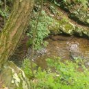 숲속 게르 하우스 이미지