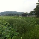(주)연지 이미지