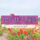 삼가체육공원_R | 광양 중마동 장미공원에 아이랑 다녀옴