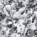 옥정농장 이미지