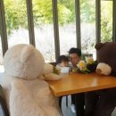 카페테리아구상나무