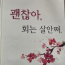 안산 본오동 스끼다시 잘 나오는 횟집 가성비 맛집 본오로수산 내돈내산 후기