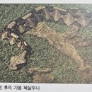 부림장갑