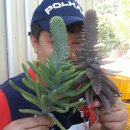 솔골농장 이미지