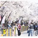 여의서로 이미지