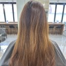 다송헤어 - 고양시 일산서구 | 안양역 미용실 에이바헤어 염색 후기