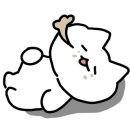 울릉도회산오징어 이미지