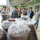 한결장터 아이뉴스24
