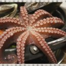 제주해물탕 이미지