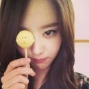 송지 이미지