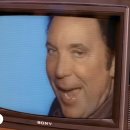 Sexbomb / Tom Jones, Mousse T. 이미지