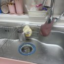 광적성우헤스티아 이미지