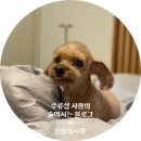 신술동 | 신설동 이자카야 해산물 모듬 신술동 후기