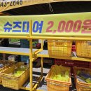 안심협동조합 | 강원도 인제 가볼만한곳 무더위 싹 날려줄 시원한 래프팅 내린천래프팅협동조합