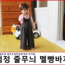 꿈꾸는하마
