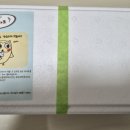 부엉이젤라또