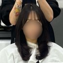 다올헤어 | 마곡미용실 다올헤어 헤어컨설팅 후기 (뿌리매직, 아모스 클리닉, 레이어드컷, 빌드펌)