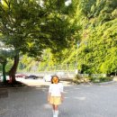 CU 대전현암점 | &lt;핑크뮬리 하천 생태 공원&gt; 신탄진, 가을은 축제의 계절!! 청주 &lt;대청댐&gt; 에서 대전으로!