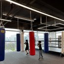 용인대SM복싱클럽 장기점 이미지