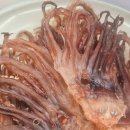 오징어파는언니안산점 이미지