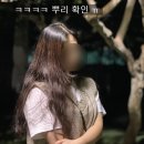 원네스트