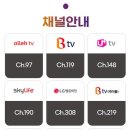 할렐루야! 10월 2일부터 매주 주일 저녁 7시 "다문화TV"에서 담임목사님의 설교가 방송됩니다. (채널 정보 포함) 이미지