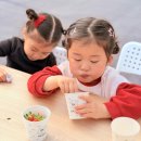 예솔농장 이미지