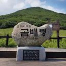 곰배령 이미지