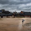서울 대표 사찰 5곳 완벽 가이드