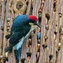 보배창고 이미지