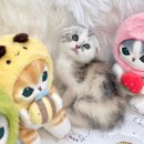 사랑해묘 이미지