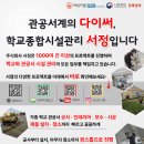 천도초등학교