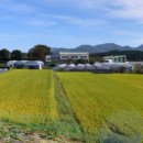 월평~월평리교차로 이미지