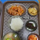 고운아이소아청소년과의원 | 진주 소아과 고운아이소아청소년과 16개월 아기 돌발진 입원 기록