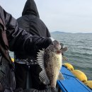 하나유선(하나호) | 인천배낚시 체험 인천쭈꾸미배낚시 &amp; 우럭낚시 가격 추천 후기