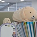 성수동 수북즈 팝업스토어 수상한 잡화점 솔직방문후기
