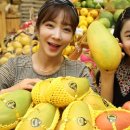 코끼리유통 이미지