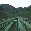 옥희네칼국수 이미지