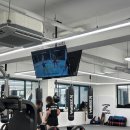 대우체육관 | 목포 선수촌GYM 종합격투기 1일 체험 후기 🥊